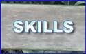 Button to go to Skills Section of website.