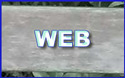 Button to go to Web Section of website.