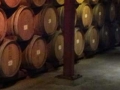 wine-barrels